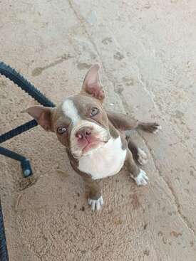 Profile photo of Pínie