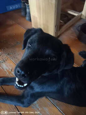 Profile photo of Mumi
