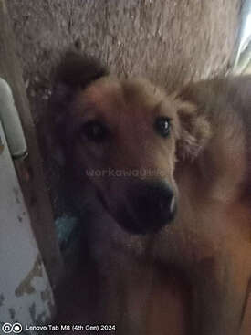 Profile photo of Kafetin