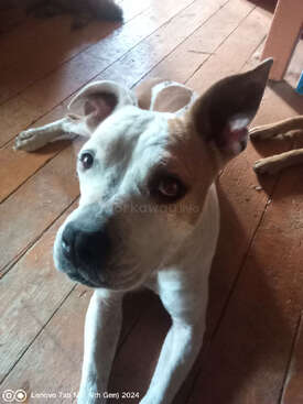 Profile photo of Kiki