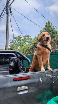 Profile photo of Rocky and Zuri