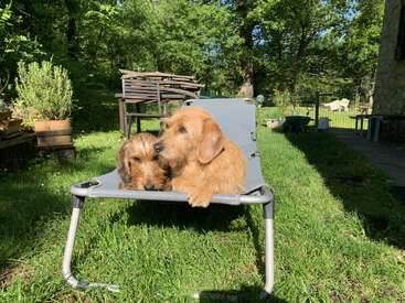Profile photo of Charly & Hulù