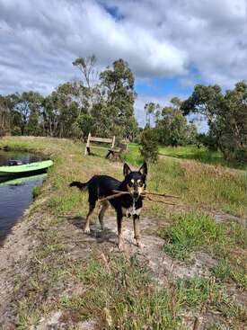 Profile photo of Daisy