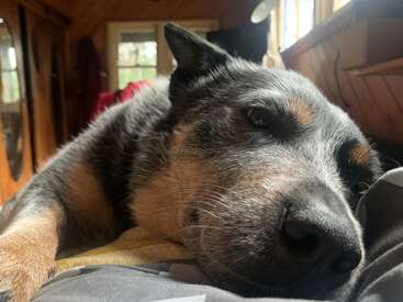 Profile photo of Katzee