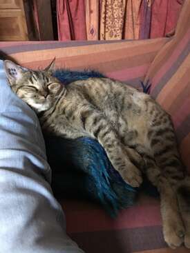 Profile photo of Tara