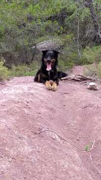 Profile photo of Shanti