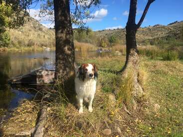 Profile photo of Joop