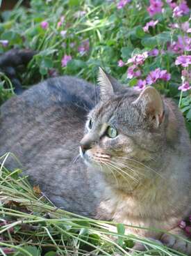 Profile photo of Luri Chan