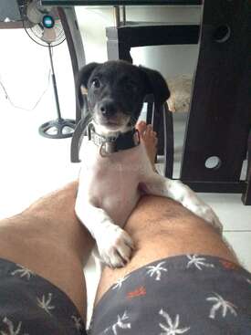 Profile photo of Manchas