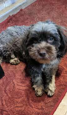 Profile photo of Nina