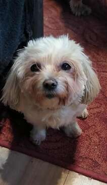 Profile photo of Zara