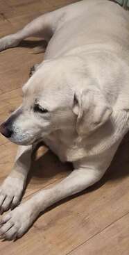 Profile photo of Baba