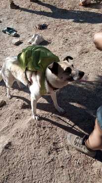 Profile photo of Zuki