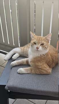 Profile photo of  Günther