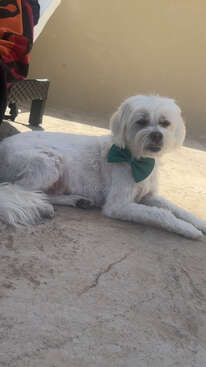 Profile photo of Leon
