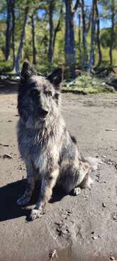 Profile photo of Matilda