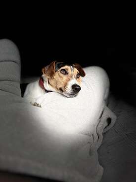 Profile photo of Woody 