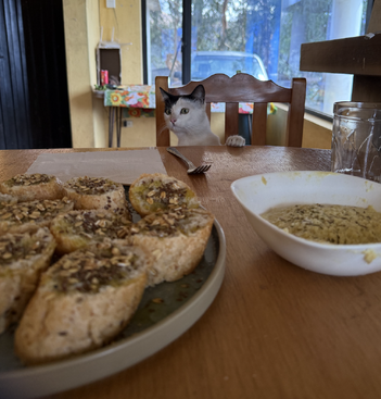 Profile photo of Mikasa