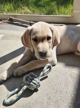 Profile photo of His name cannot be published online.