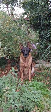 Profile photo of Leo