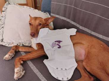 Profile photo of Sacha