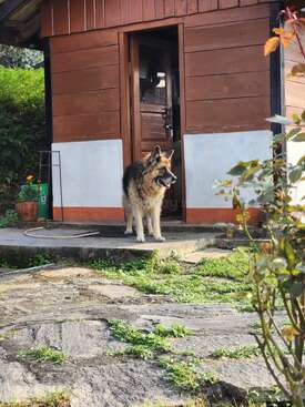 Profile photo of Jessy