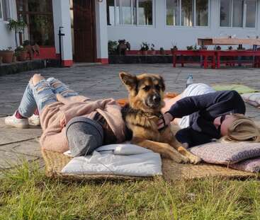 Profile photo of Max