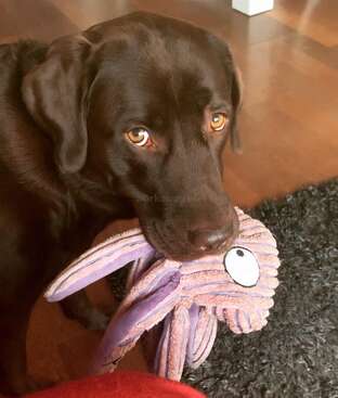 Profile photo of NOA