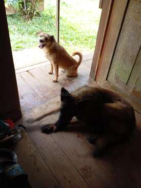 Profile photo of Leica and shisba