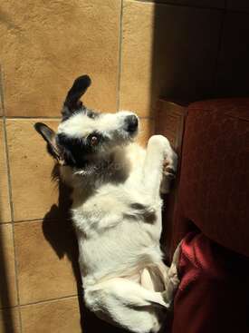 Profile photo of Cali