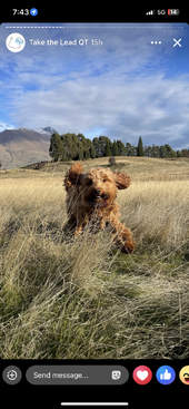 Profile photo of Penny