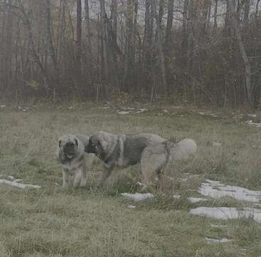 Profile photo of Nyejuru & Nazuba