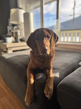Profile photo of Monti
