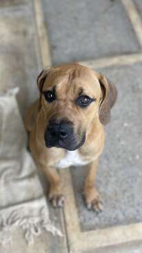 Profile photo of Nala
