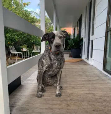 Profile photo of Maggie 