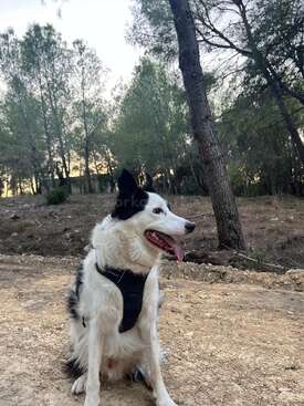 Profile photo of Gran