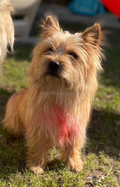 Profile photo of Orly 