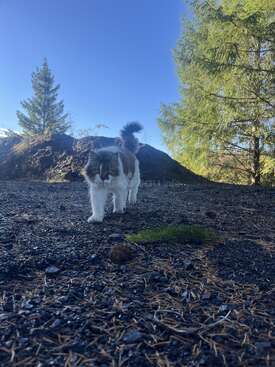 Profile photo of Duke