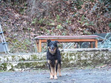 Profile photo of Nestor