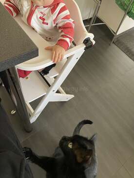 Profile photo of Momo