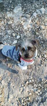 Profile photo of Mali