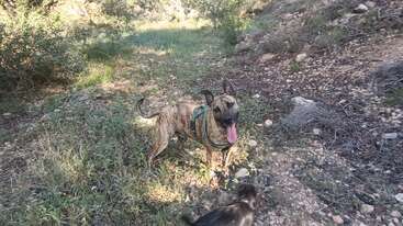 Profile photo of Django