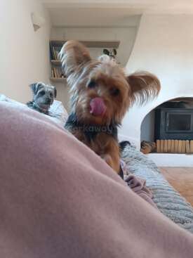 Profile photo of Neliah 