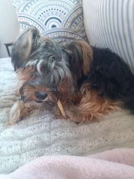 Profile photo of Kimberley 