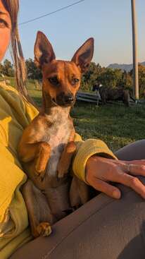 Profile photo of Bego
