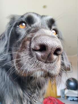 Profile photo of Kara