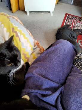 Profile photo of Zadie