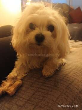 Profile photo of Lili