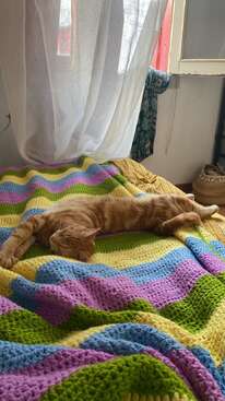 Profile photo of Luci