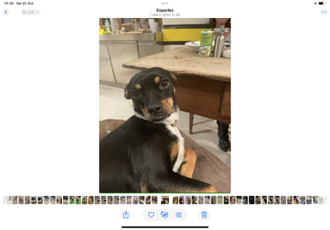 Profile photo of Chloe